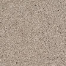 Shaw Floors Value Collections Main Stay 15′ Natural Beige 00700_E9921
