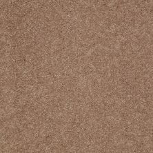 Shaw Floors Value Collections Main Stay 15′ Pebble Creek 00701_E9921