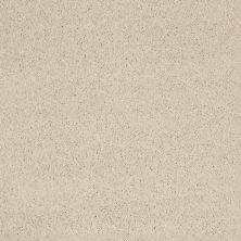 Shaw Floors Value Collections Cashmere Classic I Net Cheviot