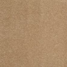 Shaw Floors Value Collections Cashmere Classic I Net Brass Lantern