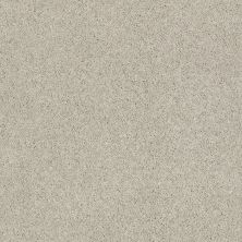 Shaw Floors Value Collections Cashmere Classic I Net Spearmint