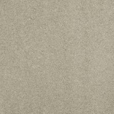 Shaw Floors Value Collections Cashmere Classic I Net Spruce
