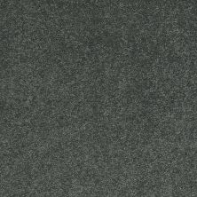 Shaw Floors Value Collections Cashmere Classic I Net Emerald