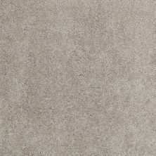 Shaw Floors Value Collections Cashmere Classic I Net Atlantic