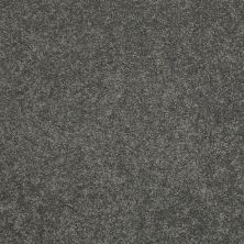 Shaw Floors Value Collections Cashmere Classic I Net Onyx