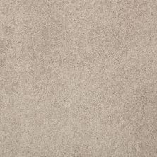 Shaw Floors Value Collections Cashmere Classic I Net White Pine