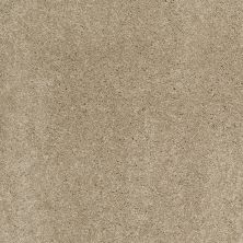 Shaw Floors Value Collections Cashmere Classic I Net Pecan Bark