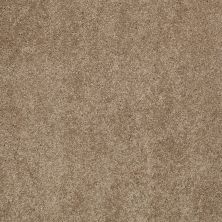 Shaw Floors Value Collections Cashmere Classic I Net Pebble Path