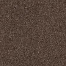 Shaw Floors Value Collections Cashmere Classic I Net Spring - Wood