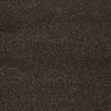 Shaw Floors Value Collections Cashmere Classic I Net Chestnut