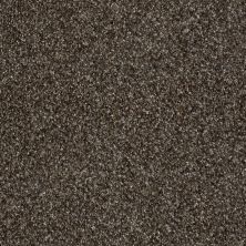 Shaw Floors Value Collections Accents For Sure 15′ Mystic River 00703_E9923