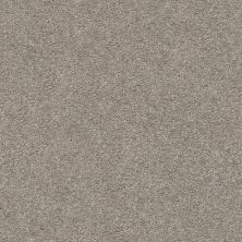 Shaw Floors Simply The Best Cabana Life Solid Perfect Taupe 00715_E9957