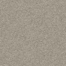 Shaw Floors Simply The Best TEXTURE Winter Dunes IS-123T_E9965
