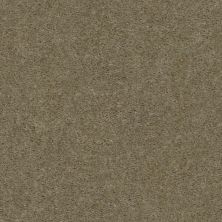 Shaw Floors Value Collections This Is It Plus Net Creek Side