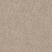 Shaw Floors SFA Bridgewood Stratosphere 00103_EA040