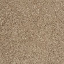 Shaw Floors SFA Drexel Hill I 15 Tassel 00107_EA051