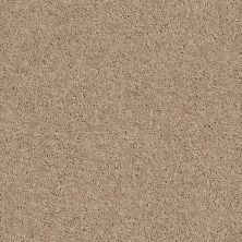 Shaw Floors SFA Drexel Hill II 12′ Tassel 00107_EA054