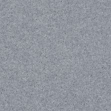 Shaw Floors SFA Drexel Hill II 12′ Dolphin 00541_EA054