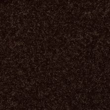 Shaw Floors SFA Drexel Hill II 12′ Coffee Bean 00705_EA054