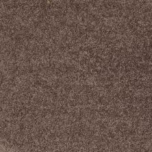 Shaw Floors SFA Drexel Hill II 12′ Molasses 00710_EA054