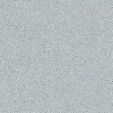 Shaw Floors SFA Drexel Hill III 12′ Dove 00540_EA055