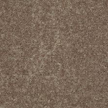Shaw Floors SFA Drexel Hill III 12′ Hearth Stone 00700_EA055