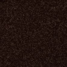 Shaw Floors SFA Drexel Hill III 12′ Coffee Bean 00705_EA055