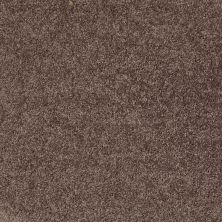 Shaw Floors SFA Drexel Hill III 12′ Molasses 00710_EA055