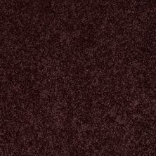 Shaw Floors SFA Drexel Hill III 15 Royal Purple 00902_EA056
