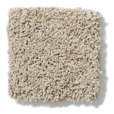 Shaw Floors Anso Colorwall Designer Twist Gold (s) Natural Wood EA090_00701
