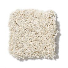 Shaw Floors Anso Colorwall Designer Twist Platinum (s) Fine China EA091_00104