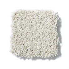 Shaw Floors Anso Colorwall Designer Twist Platinum (s) Cool Breeze EA091_00106