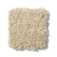 Shaw Floors Anso Colorwall Designer Twist Platinum (s) Chenille Soft EA091_00110