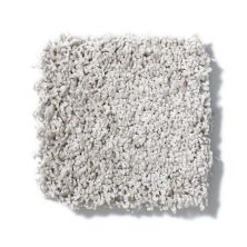 Shaw Floors Anso Colorwall Designer Twist Platinum (s) Putty EA091_00125