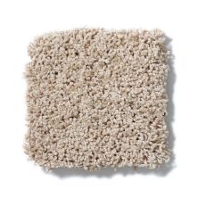 Shaw Floors Anso Colorwall Designer Twist Platinum (s) Natural Wood EA091_00701