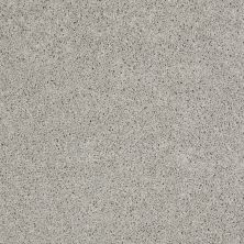 Shaw Floors SFA Loyal Beauty I Sheer Silver 00500_EA162