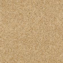 Shaw Floors SFA Loyal Beauty III Sun Shower 00200_EA164