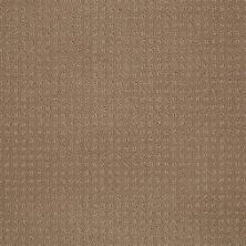 Shaw Floors SFA Loyal Beauty Pattern Clay Stone 00108_EA183