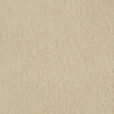 Shaw Floors SFA Speed Zone Linen 00101_EA503