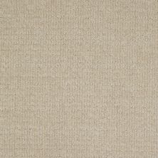 Shaw Floors SFA Step Up Canvas 00103_EA504