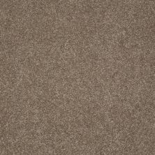 Shaw Floors Anso Colorwall Gold Texture Iced Coffee 00723_EA571