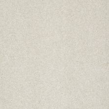 Shaw Floors Anso Colorwall Platinum Texture 12′ Vienna Sights 00130_EA572