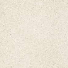 Shaw Floors Anso Colorwall Gold Twist Fine China 00104_EA575