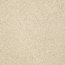 Shaw Floors Anso Colorwall Gold Twist Chenille Soft 00110_EA575