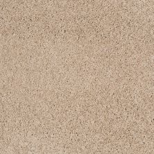 Shaw Floors Anso Colorwall Platinum Twist Natural Wood 00701_EA576