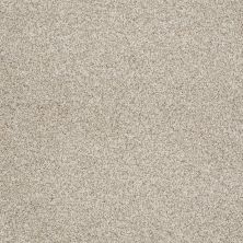 Shaw Floors Anso Colorwall Platinum Texture Tonal Anchorage 00192_EA579