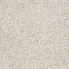 Shaw Floors Anso Colorwall Platinum Texture Tonal Denali 00290_EA579