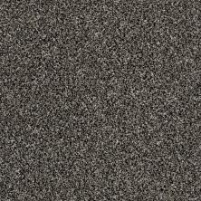 Simply The Best Breathe & Reflect TEXTURE Shaw Floors Simply The Best Breathe & Reflect Meteorite tfsnm-00501_EA688