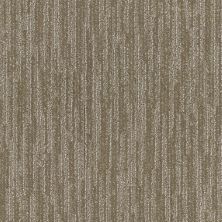 Shaw Floors Simply The Best Evoking Warmth Menswear 00700_EA690