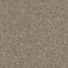Shaw Floors Simply The Best Virtual Gloss Granola 00113_EA718